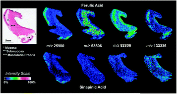 Ferulic Acid